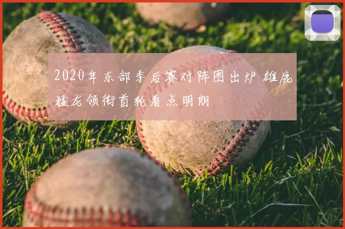 2020年东部季后赛对阵图出炉 雄鹿猛龙领衔首轮看点明朗