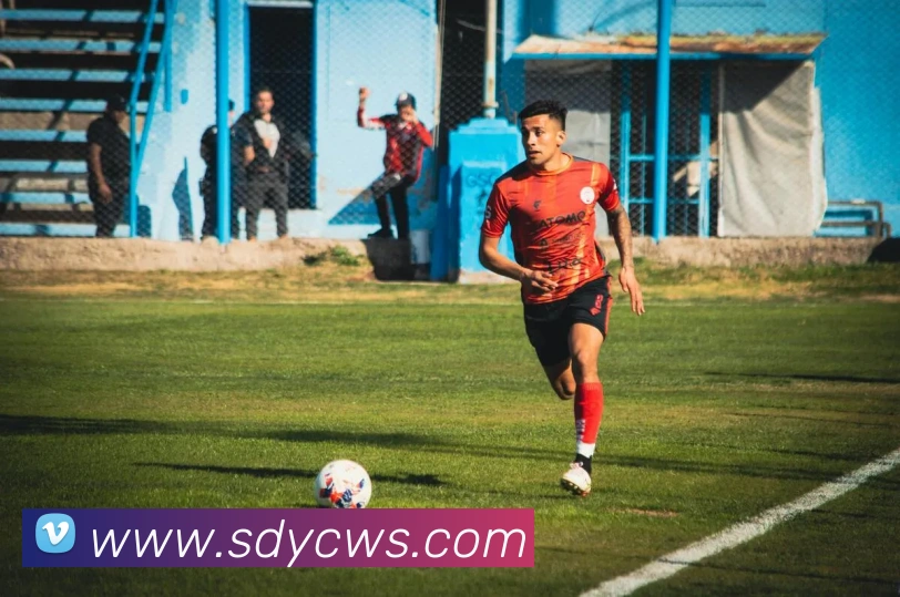 App Interface Preview