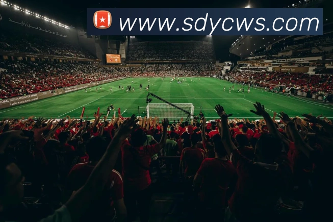 买球官方APP 封面图